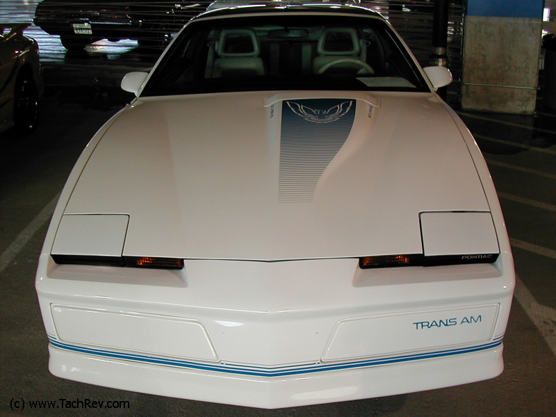 15th Anniversary TA Hood Bird  Strobe Stripe 