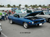 Barracuda!