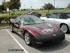 BIG 50 Anniversary Vette!