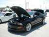 Muscle Mustang
