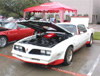 1978 Macho Trans Am