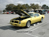 Definitely NOT Mello Yellow!