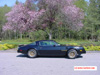 Nice Canadian countryside backdrop for another overview of one of Brian Drabiks' Pontiacs