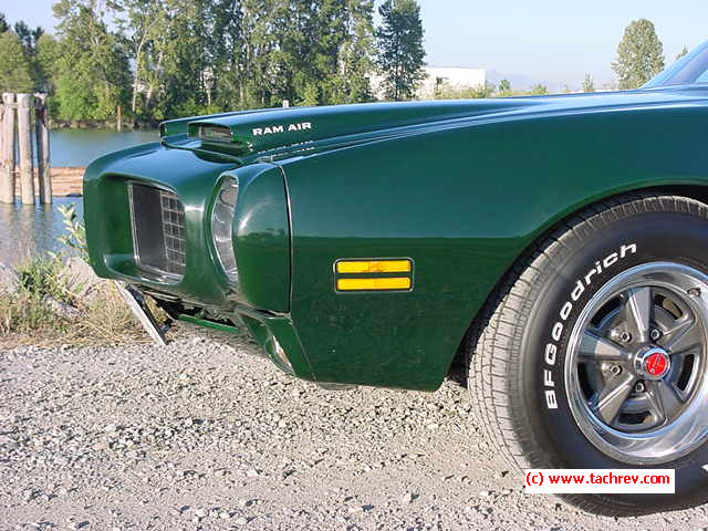 Nose of a different color - Brewster Green Formula Firebird
