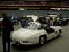 Graceful Gullwing