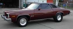 Chris's 1973 GOAT.