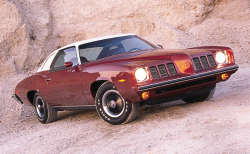 1973 Grand Am - the 1st ever.