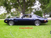 Side view of Howard's 74 455 Trans Am.