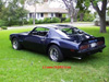 Rear view of Howard's 74 455 Trans Am.