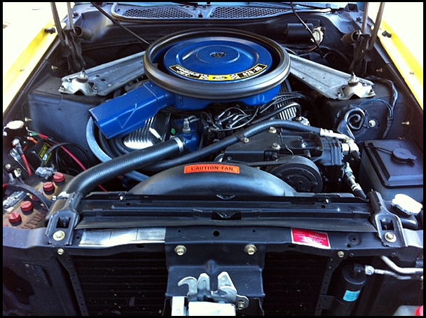 Functional Ram Air cleaner and engine compartment