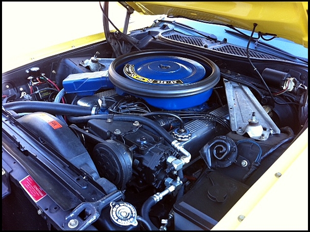 Functional Ram Air cleaner and engine compartment