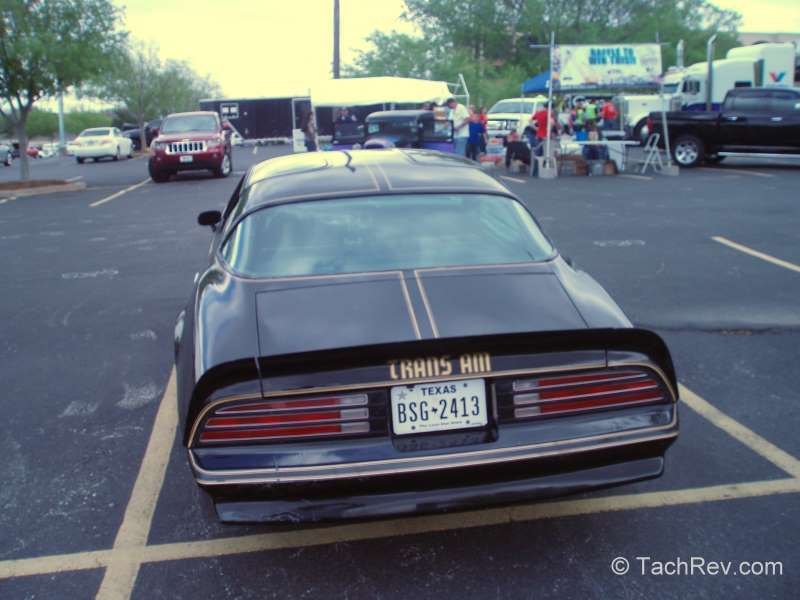 1977 Special Edition treatment from the rear view.