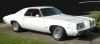 Lilly - 1973 Grand Am