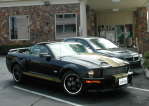 Shelby GT Hertz RagTop - the Beautiful Trudy and the Shelby Beast! 