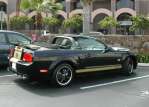 Shelby GT Hertz RagTop - the Beautiful Trudy and the Shelby Beast! 