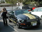 Shelby GT Hertz RagTop - the Beautiful Trudy and the Shelby Beast! 