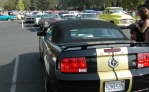 Shelby GT Hertz RagTop - the Beautiful Trudy and the Shelby Beast! 