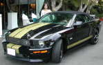 Shelby GT Hertz RagTop - the Beautiful Trudy and the Shelby Beast! 