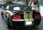 Shelby GT Hertz RagTop - the Beautiful Trudy and the Shelby Beast! 