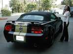 Shelby GT Hertz RagTop - the Beautiful Trudy and the Shelby Beast! 