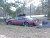This 1976 T/A is mostly complete, So sad to see another Firebird bite the dust!