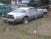 A 1979, 80 or 81 T/A that has seen better days.