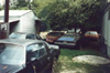 Can you spot the 72 GTO? How about the '77 Special Edition TA?