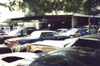 An ocean of Formulas, Firebirds and Trans Ams as far as the eye can see.
