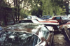 An ocean of Formulas, Firebirds and Trans Ams as far as the eye can see.