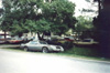 One of several photos of a pair of numbers matching 1978 Y-88 Gold Special Edition 4 speeds saved from the crusher!. One is WS6 equipped, the other is not.