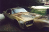 One of several photos of a pair of numbers matching 1978 Y-88 Gold Special Edition 4 speeds saved from the crusher!. One is WS6 equipped, the other is not.