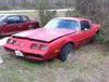 A base Firebird slowly sucumbing to the weeds.