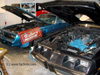 Black and Blue - Two of the Webmasters T/A's in the garage for some much needed attention.