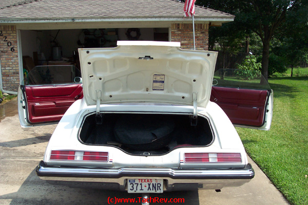 Rear view image sent to us prior to our trip to buy "Miss Lilly" our 1973 Pontiac Grand Am.