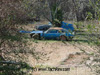 Wally Wersching's Poncho finds: Firebird and AMC - Javelin / AMX