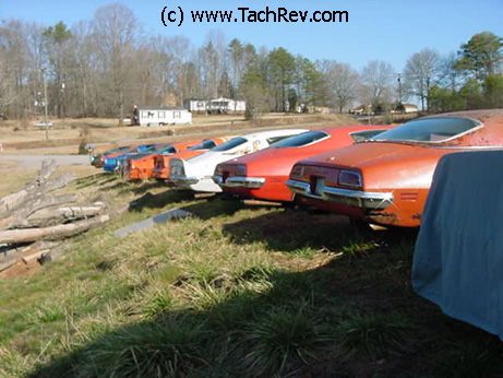 See Ya Later view of A Flock of Firebirds