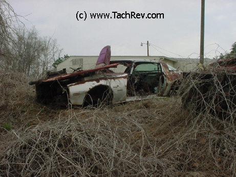 A new meaning to the phrase - "In the Weeds"